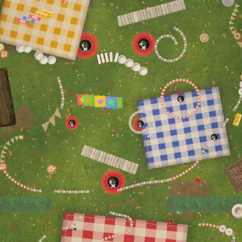 Picnic Blanket level seen from above